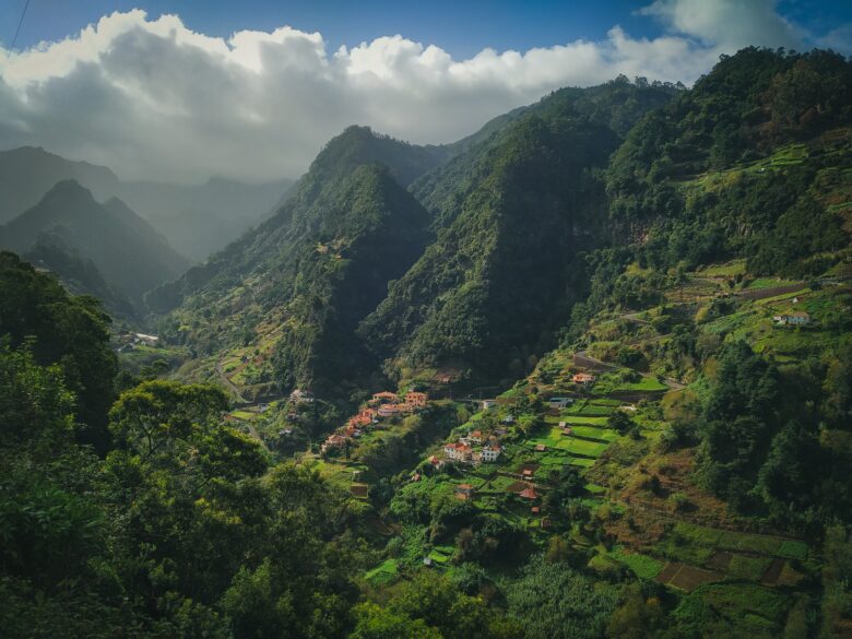 Homestay Near Jibhi